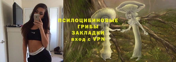 прущая мука Алексин