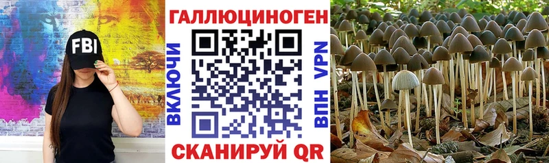 наркотики  darknet формула  Галлюциногенные грибы MAGIC MUSHROOMS  Сысерть 